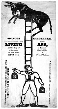 Cover: Spelterini's Living Ass