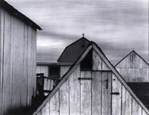 Summer 2012
Cover: Barns and Sheds
by Paul Strand