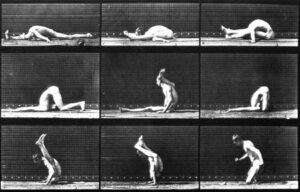 Spring 2018
Cover: Contortions on the ground
by Eadweard Muybridge
