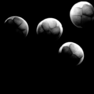 Summer 2000
Cover: Untitled photograph
by Ariel Ruiz i Altaba